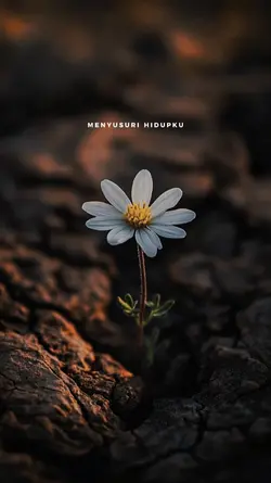 Bintang kehidupan