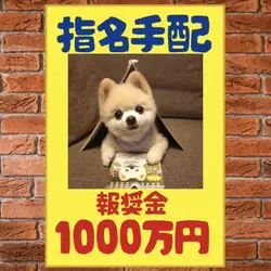 指名手配　報奨金1000万円