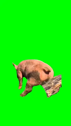 SCRATCHING BUTT