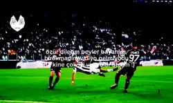 özür dilerim