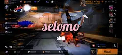 sound siull