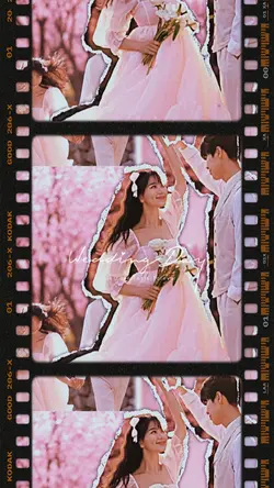 Wedding Day
