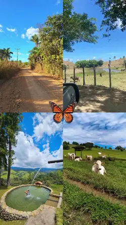 Sitio