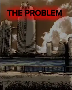 THE PROBLEM 