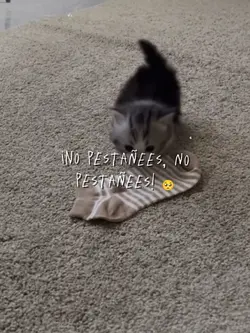 NO PESTAÑEES