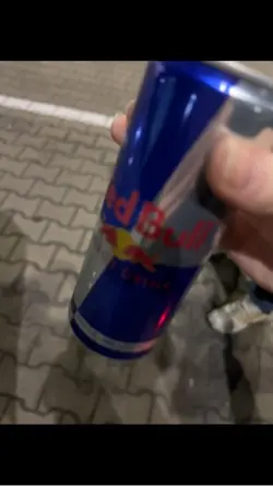 Bester Freund 