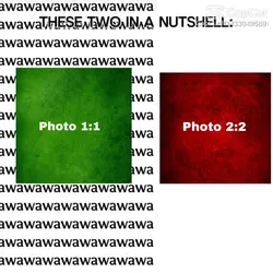 THIS IS EDIT MASTER