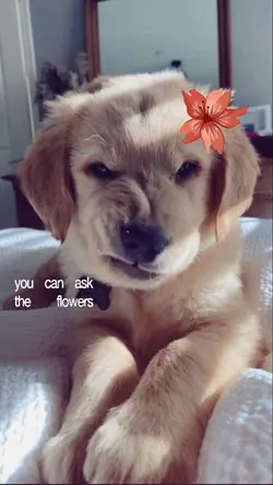 pretty little baby