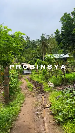 Probinsya 