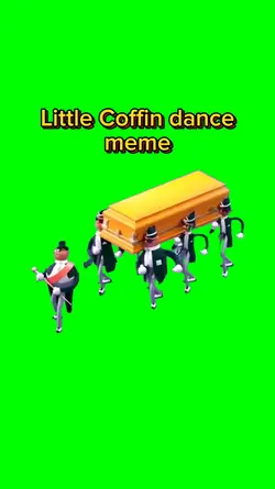 Little Coffin Dance 
