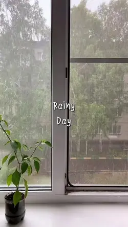 Rainy Day