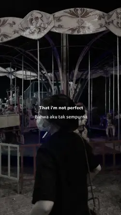 that i'm not perfect