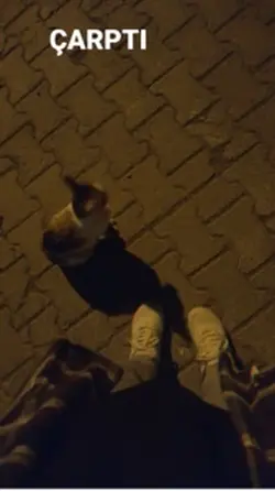 Çarptı gözleri aman 