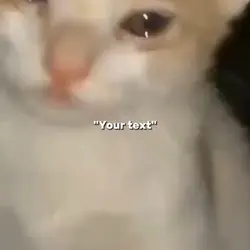 Sad meme