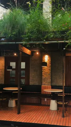 Mưa