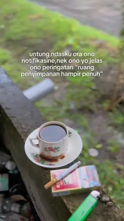 penyimpanan mehpenuh