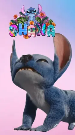 INVITACION STICH