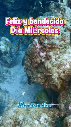Bendecido día 