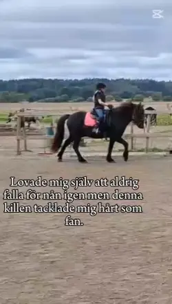 älskar dig