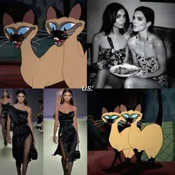 siamese cat song 
