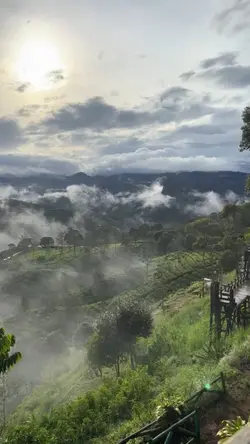 cinematic jepang