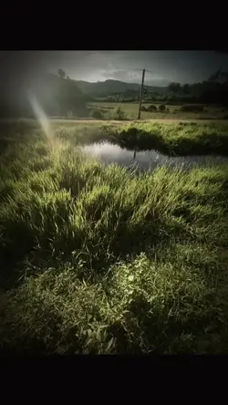 ទេសភាព