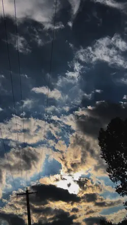 Contrast show