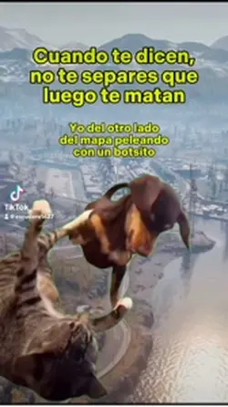 Mi compa se separa 