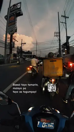 bawal tamarin