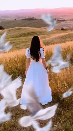 merpati slow mo