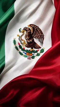Soy mexicano(a)💚🤍❤️