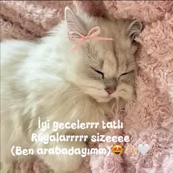 Çok sıkıldımmm