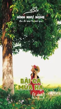 Bài ca mùa hạ