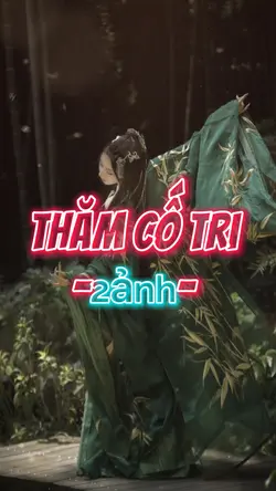 探故知🦋thăm cố tri
