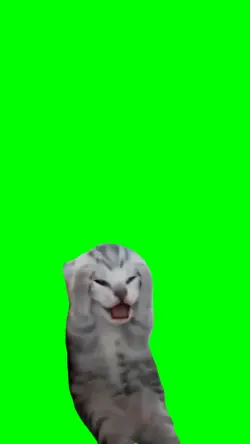 screaming cat meme