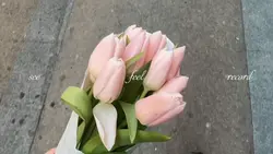 see feel record