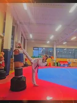 Taekwondo Fighter