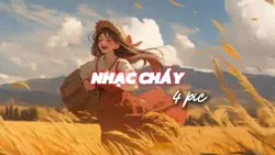 BEAT ẢNH NGANG| 4PIC