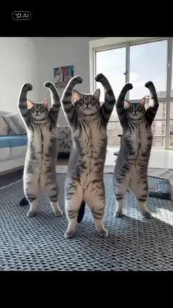 ai | cat dances