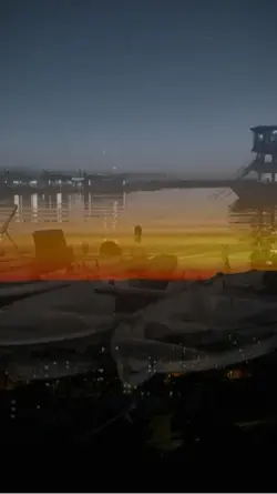 Weylo weylo
