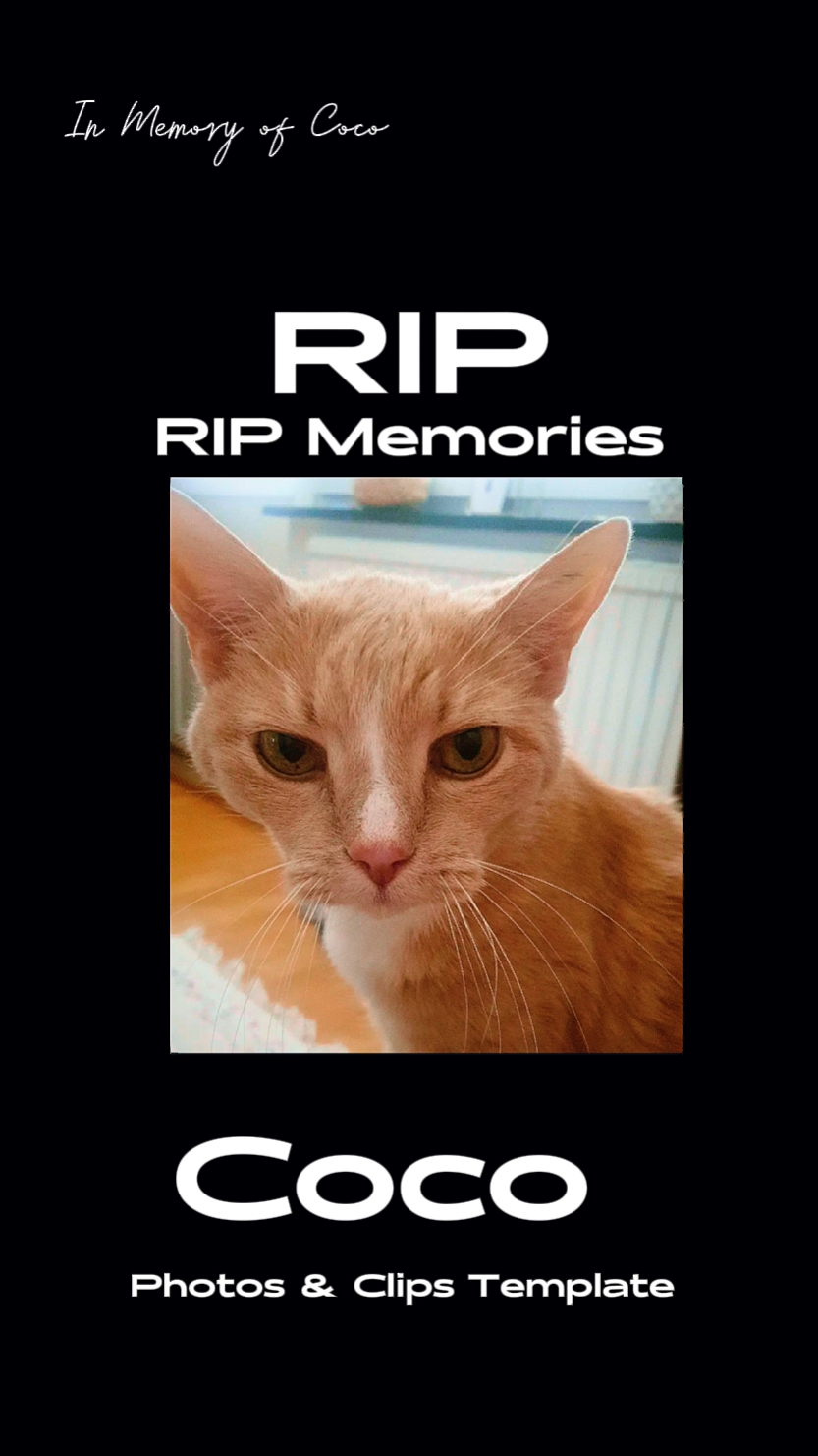 capcut template cover