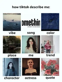how tiktok describe