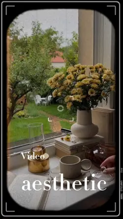 24. Video aesthetic 