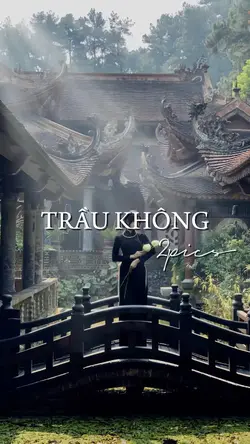Trầu Không