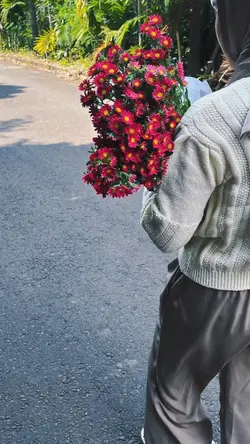 banyak foto aestheti