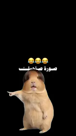 فيديو للضحك بس