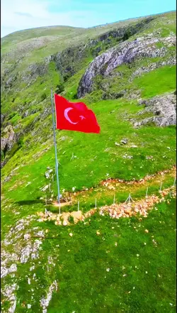 BAYRAK 