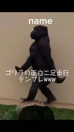 ゴリラの面白二足歩行テンプレwww