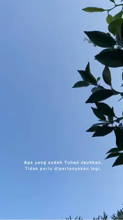Quotes