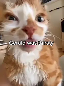 Gerald